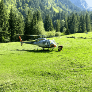 Franklin France, Sixt-Fer-à-Cheval, Haute-Savoie